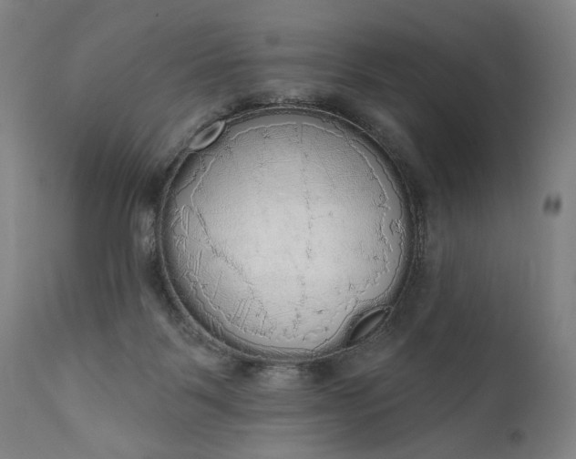 X0000111170123200907151309