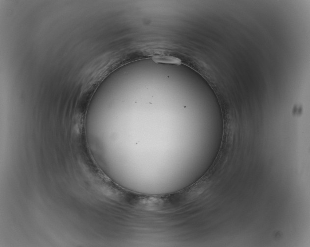 X0000111170125200907151309