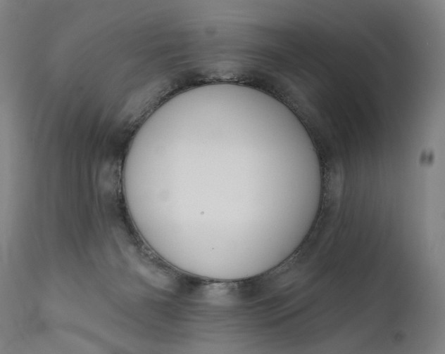 X0000111170126200907151309