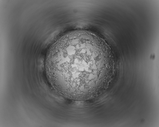 X0000111170127200907151309