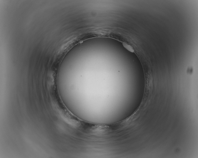 X0000111170128200907151309