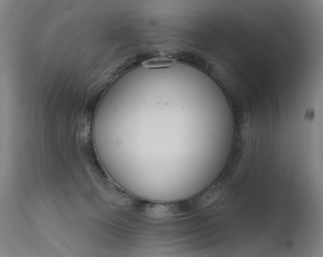 X0000111170129200907151309