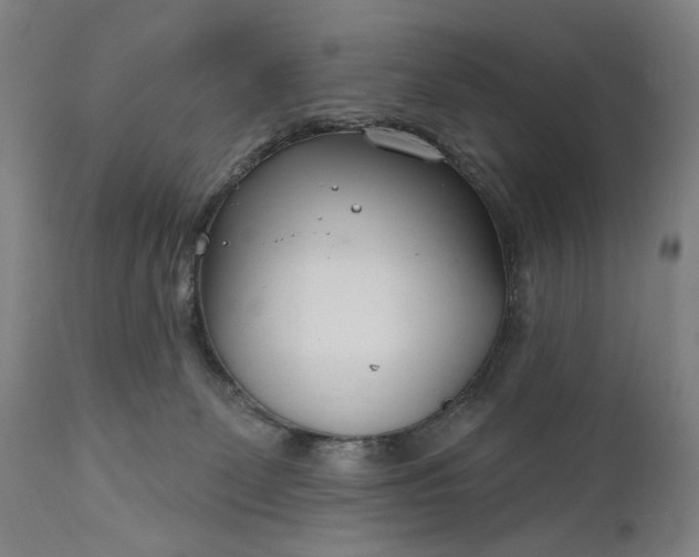 X0000111170131200907151309