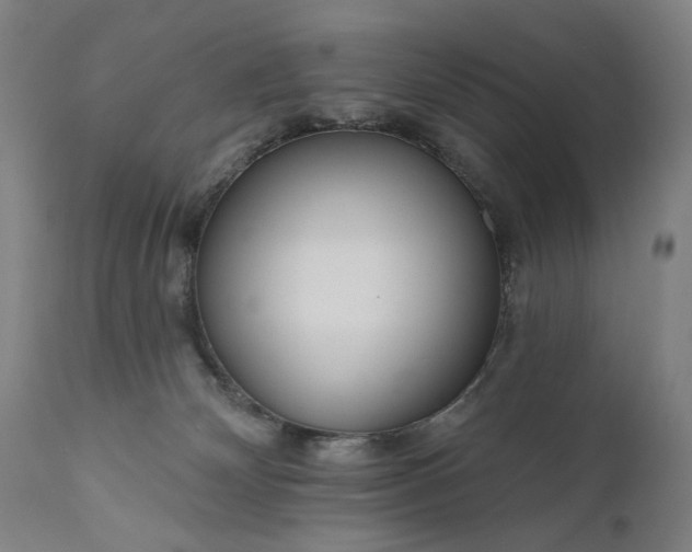 X0000111170132200907151309