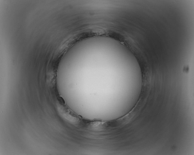 X0000111170136200907151308