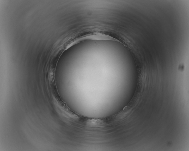 X0000111170137200907151308