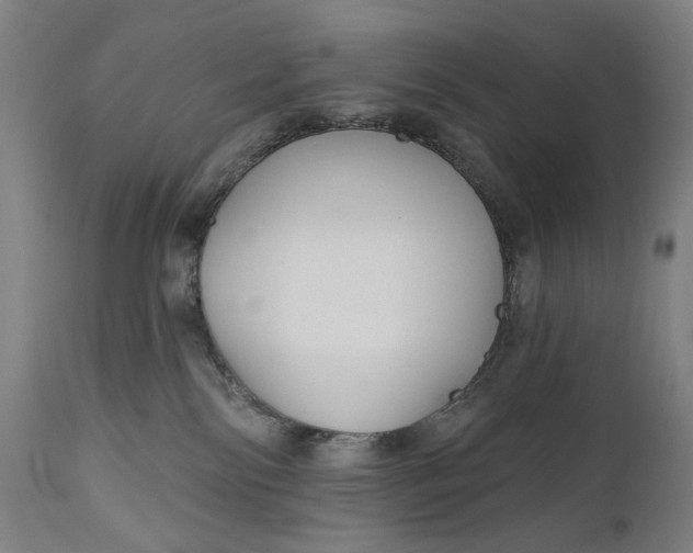 X0000111170138200907151308