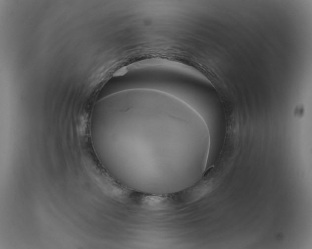 X0000111170139200907151308