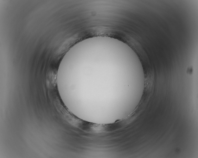 X0000111170142200907151308