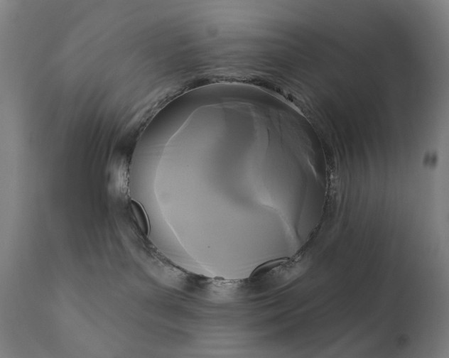 X0000111170143200907151308