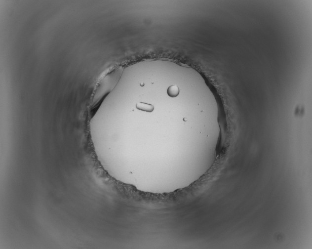 X0000111170144200907151308