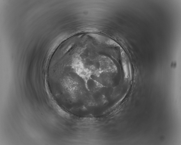 X0000111170145200907151308