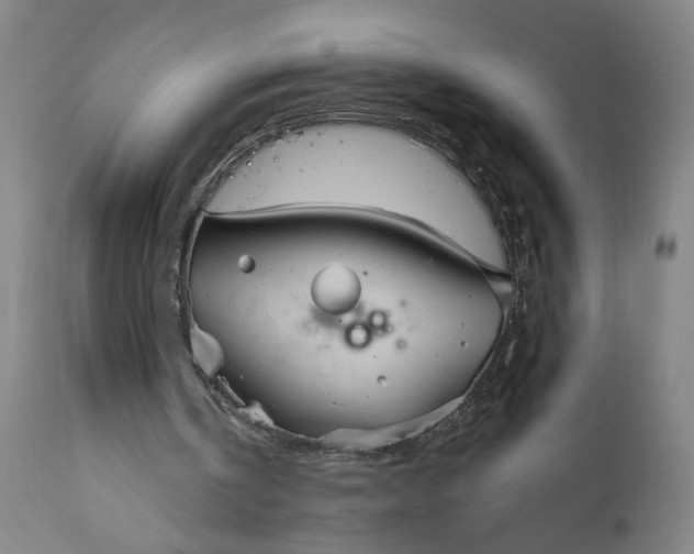 X0000111170146200907151308