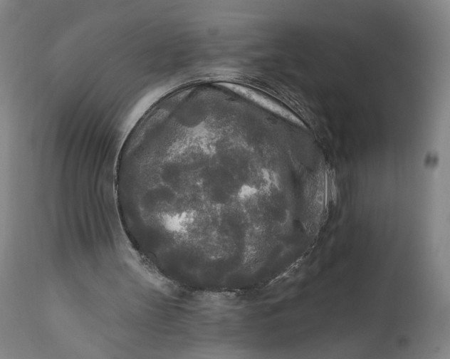 X0000111170147200907151308