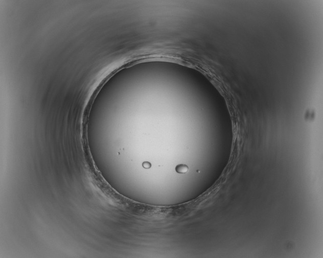 X0000111170148200907151308