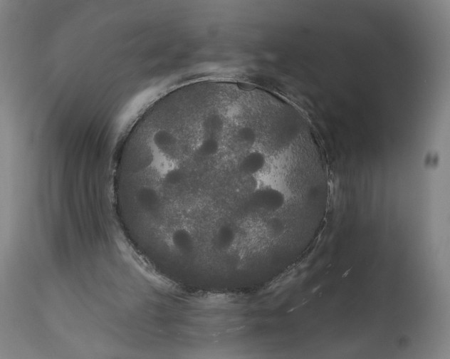 X0000111170149200907151308