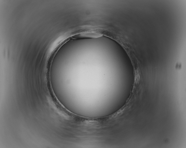 X0000111170150200907151308