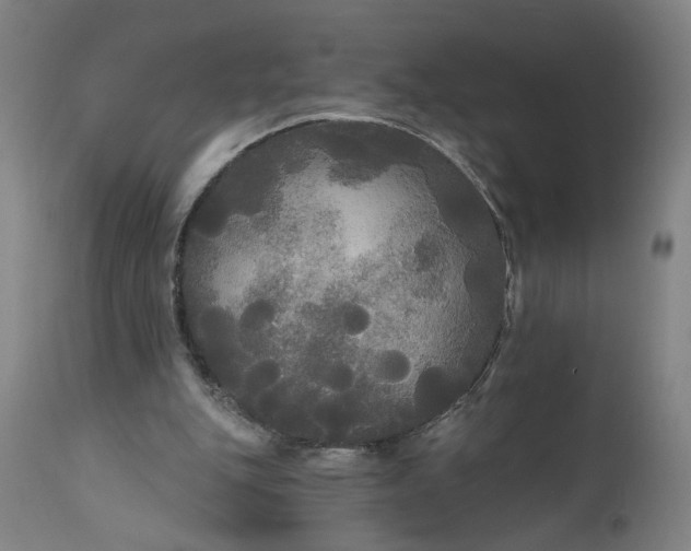 X0000111170151200907151308