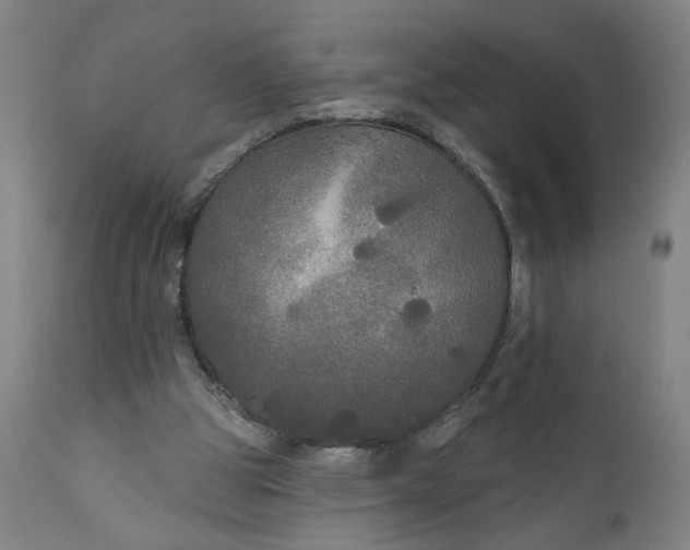 X0000111170153200907151308