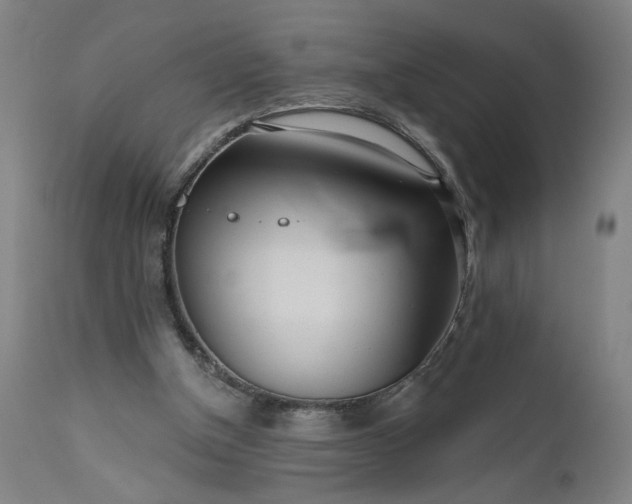 X0000111170154200907151308