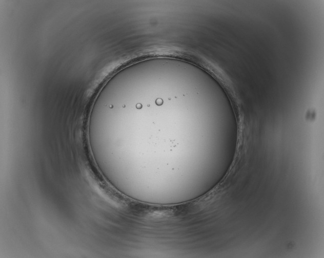 X0000111170155200907151308