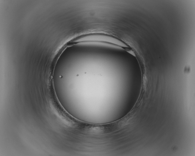 X0000111170156200907151308