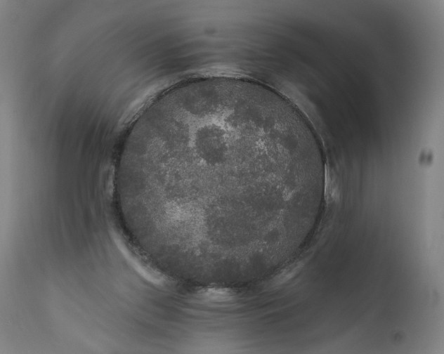 X0000111170157200907151308