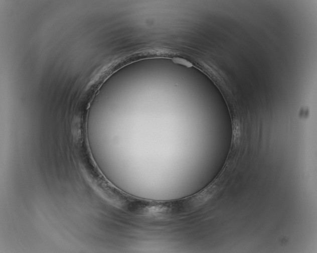 X0000111170158200907151308