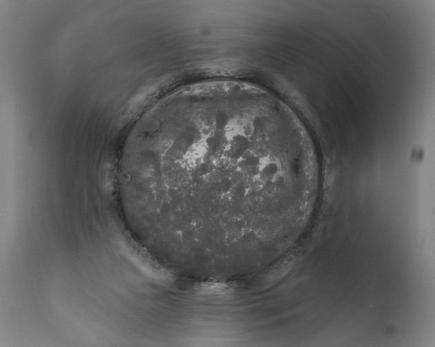 X0000111170161200907151308