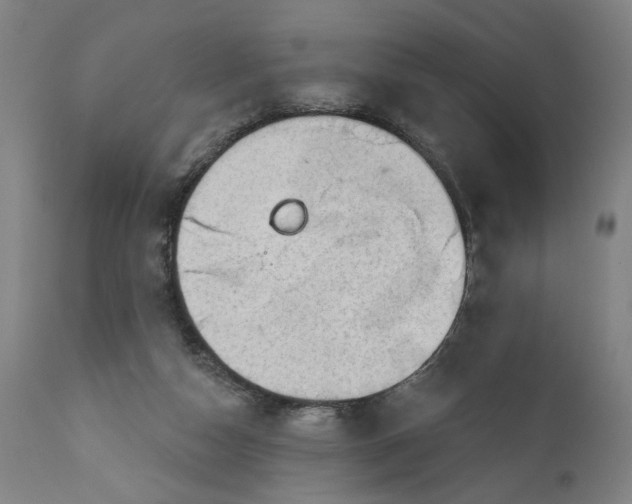 X0000111170162200907151308