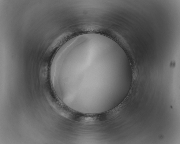 X0000111170163200907151308