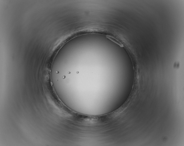 X0000111170164200907151308