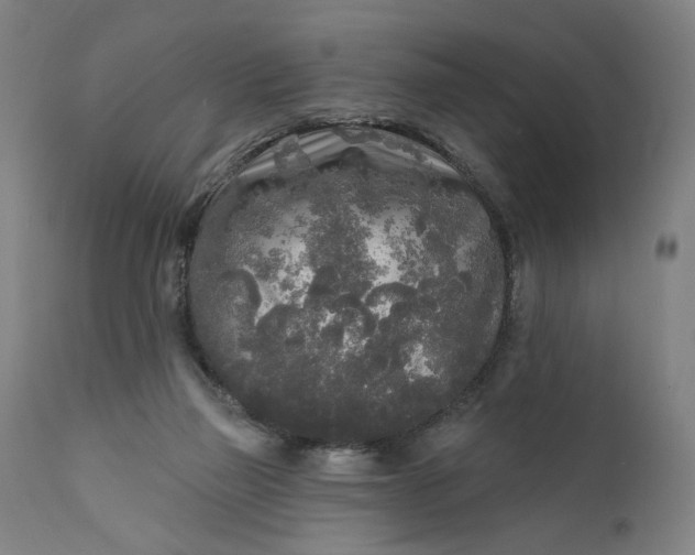 X0000111170165200907151308