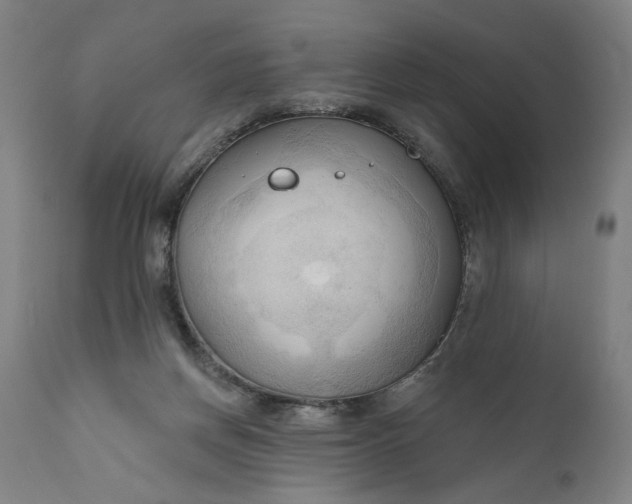 X0000111170166200907151308