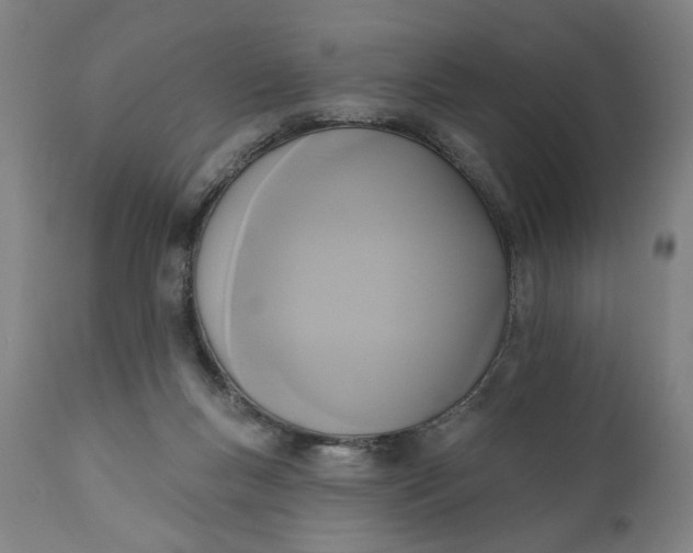 X0000111170167200907151308