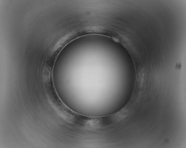 X0000111170168200907151308