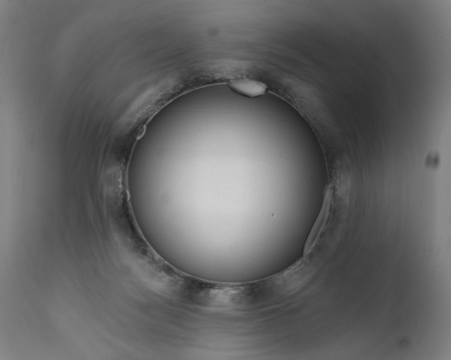 X0000111170172200907151308