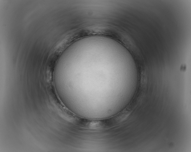 X0000111170173200907151308