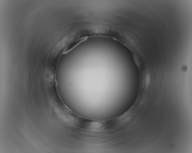 X0000111170176200907151308