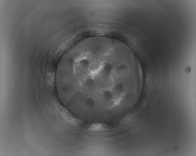 X0000111170177200907151308