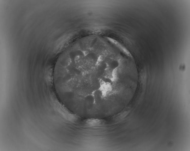 X0000111170181200907151308