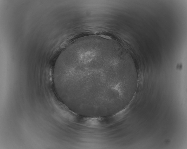 X0000111170182200907151308