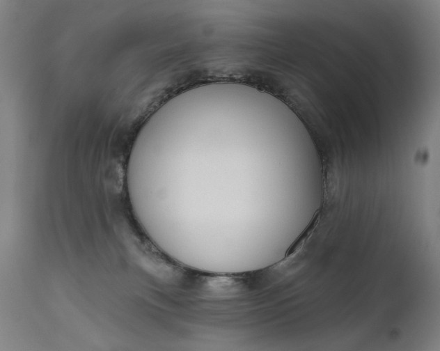 X0000111170183200907151308