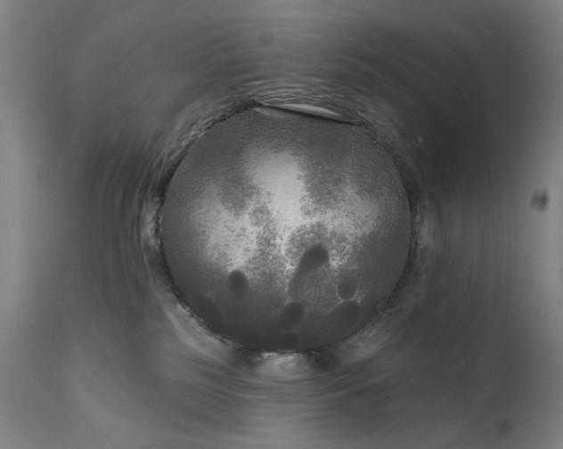 X0000111170185200907151308