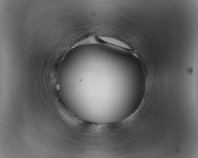 X0000111170186200907151308