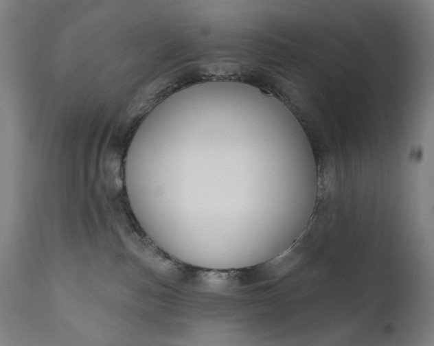 X0000111170187200907151308