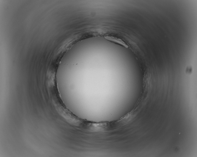 X0000111170188200907151308