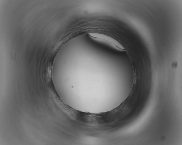 X0000111170190200907151308