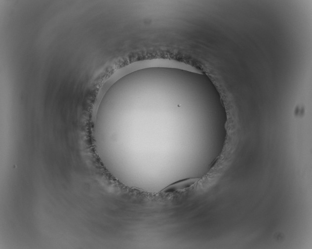 X0000111170192200907151308