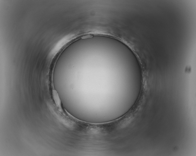 X0000111170199200907151307